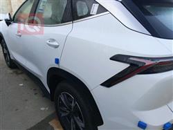 جيتور داشينج